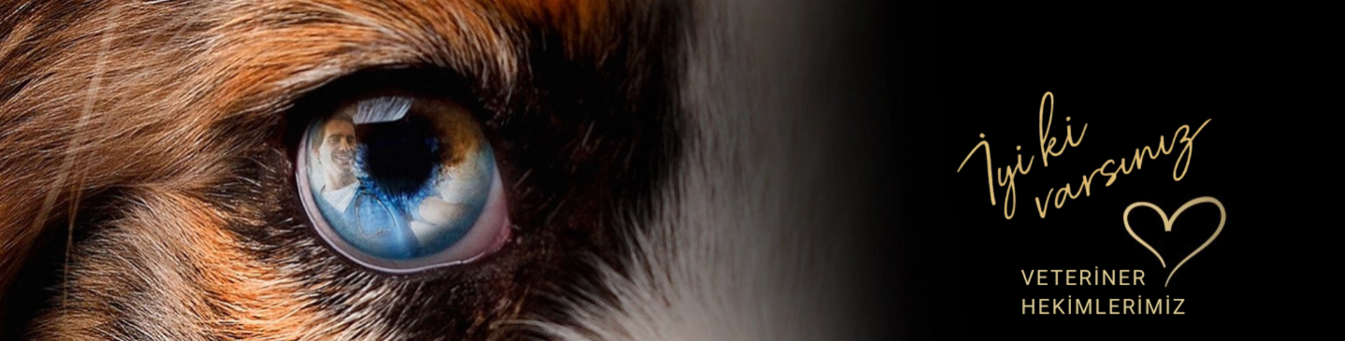 veteriner_hekimlerimiz