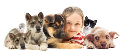 Kedilerin Yaşı Nasıl Hesaplanır? Kedi Yaş Tablosu