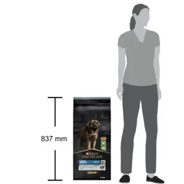 PRO PLAN® Sensitive Digestion® Large Robust Büyük Irk Yetişkin Köpekler için, Zengin Kuzu Eti İçeriği