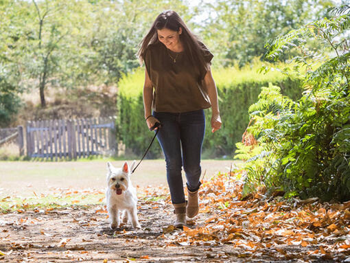 Dışarıda köpek gezdiren kadın