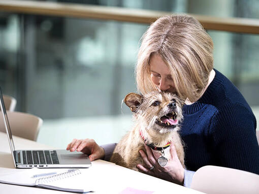 Dizüstü bilgisayar başında kadın ve köpek