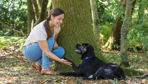 Bir ağacın yanında köpeğiyle çömelmiş kadın