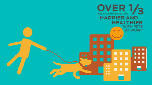 1/3'ten fazlası çalışanların iş yerinde evcil hayvanlarla daha mutlu ve sağlıklı olduğuna inanıyor