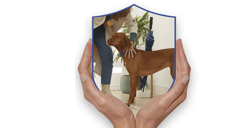 Dog Chow®