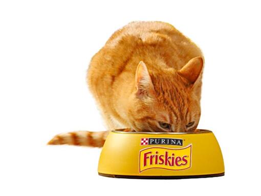 Purina Friskies Kedi