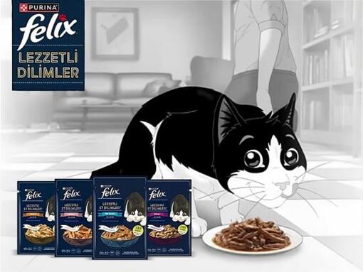 Felix