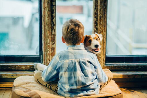 köpek