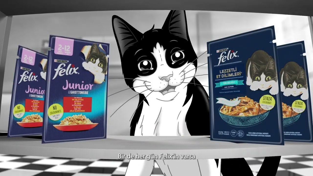 Felix ile "Kedi Olmak Bi’ Harika!"